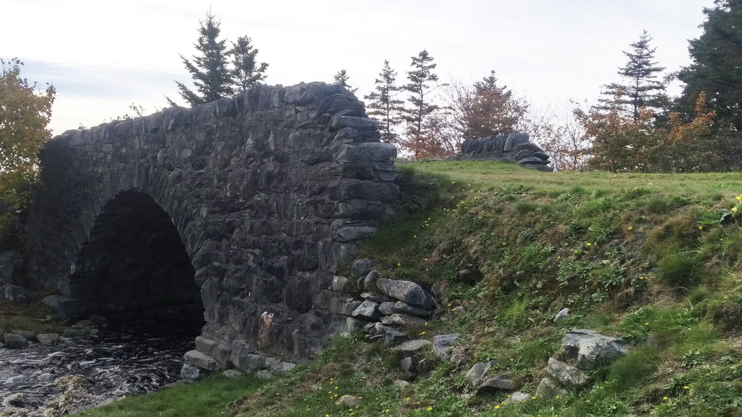 Hipson-Bridge -Rehabilitation